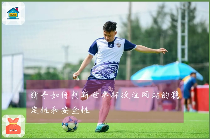 新手如何判断世界杯投注网站的稳定性和安全性