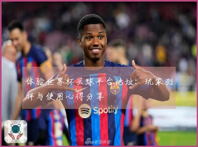 体验世界杯买球平台地址：玩家测评与使用心得分享