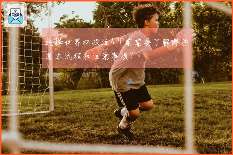 选择世界杯投注APP前需要了解哪些基本流程和注意事项？