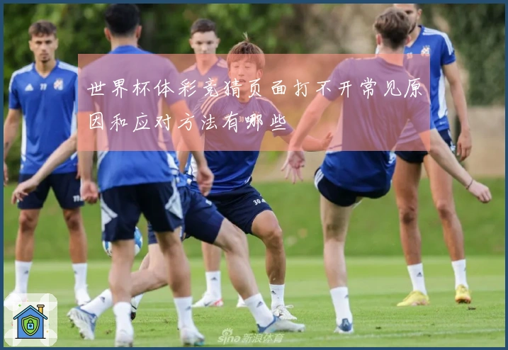 世界杯体彩竞猜页面打不开常见原因和应对方法有哪些