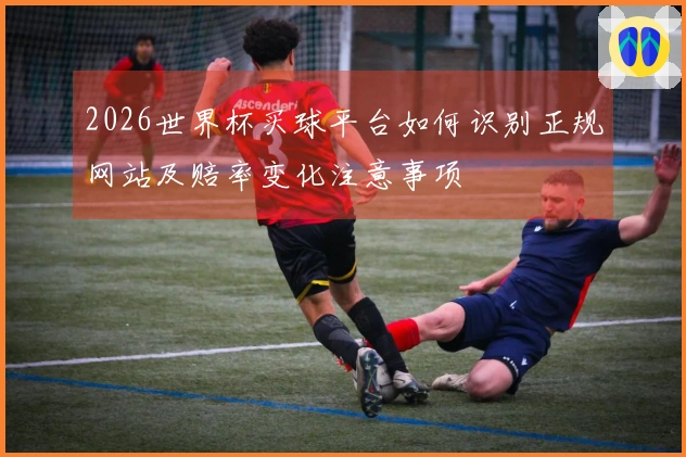 2026世界杯买球平台如何识别正规网站及赔率变化注意事项