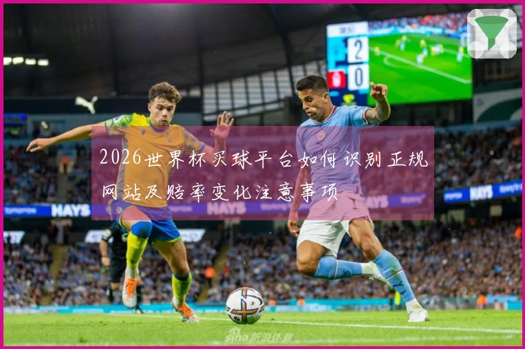 2026世界杯买球平台如何识别正规网站及赔率变化注意事项