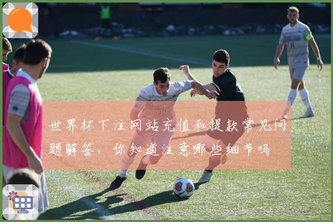 世界杯下注网站充值和提款常见问题解答，你知道注意哪些细节吗
