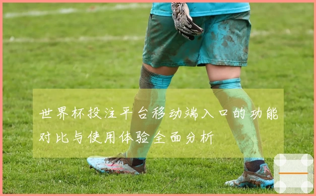 世界杯投注平台移动端入口的功能对比与使用体验全面分析