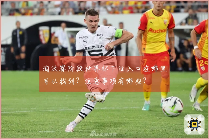 淘汰赛阶段世界杯下注入口在哪里可以找到?注意事项有哪些?