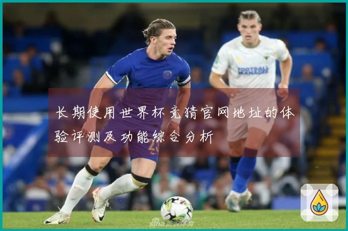 长期使用世界杯竞猜官网地址的体验评测及功能综合分析